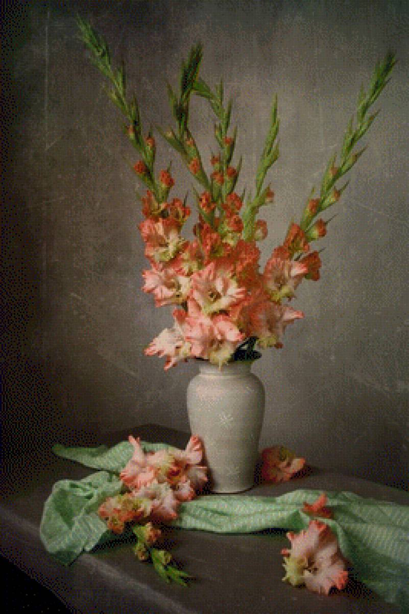 любимые гладиолусы - предпросмотр