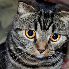 Схема вышивки «90»