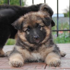 Схема вышивки «91»