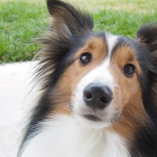 Схема вышивки «95»