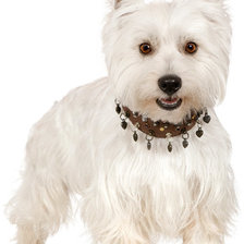 Схема вышивки «96»