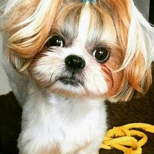 Схема вышивки «105»