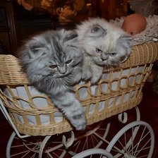 Схема вышивки «107»