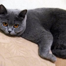 Схема вышивки «110»