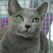 Схема вышивки «115»