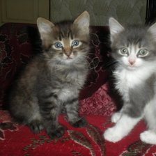 Схема вышивки «116»