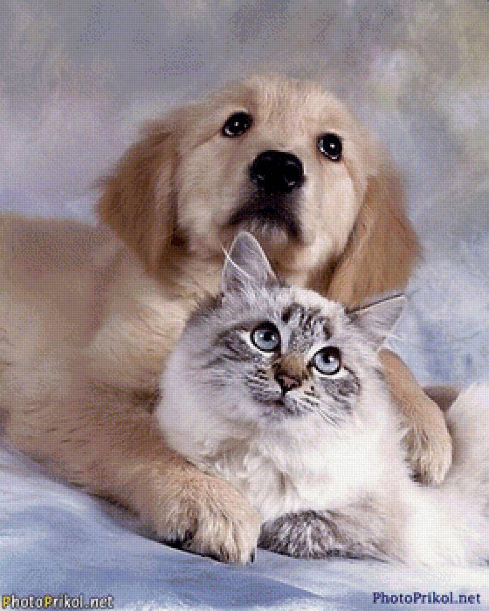 120 - предпросмотр