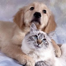 Схема вышивки «120»