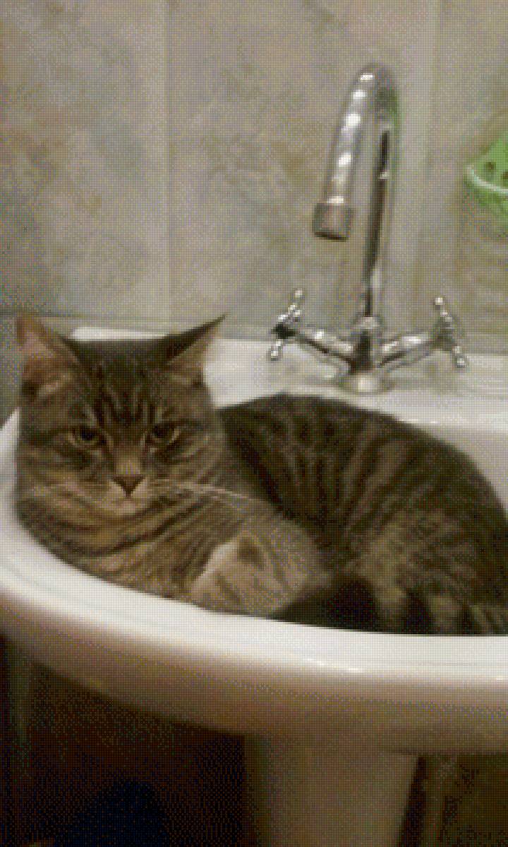 122 - предпросмотр