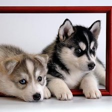 Схема вышивки «123»