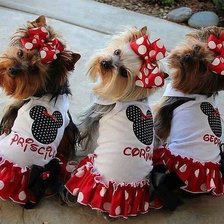 Схема вышивки «126»