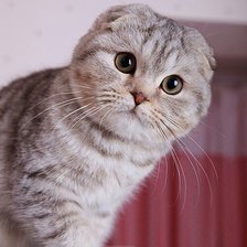 Схема вышивки «125»