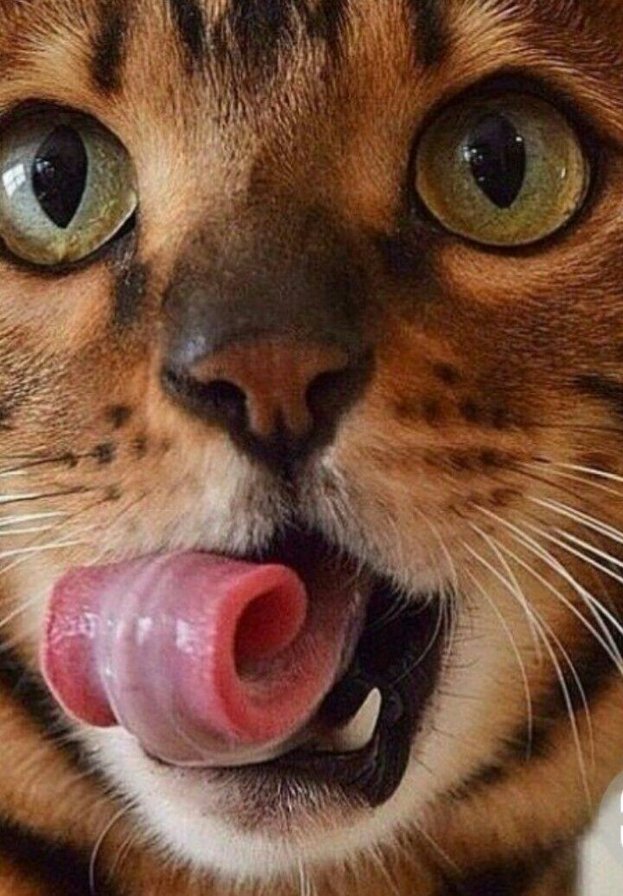 129 - оригинал