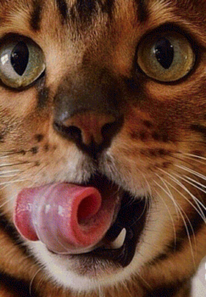 129 - предпросмотр