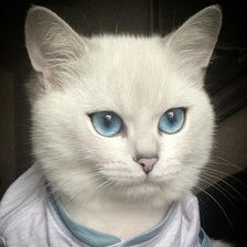 Схема вышивки «135»