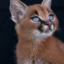 Схема вышивки «143»