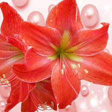 Схема вышивки «№1651983»