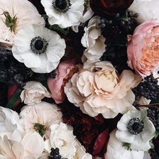 Схема вышивки «Анемоны и пионы»