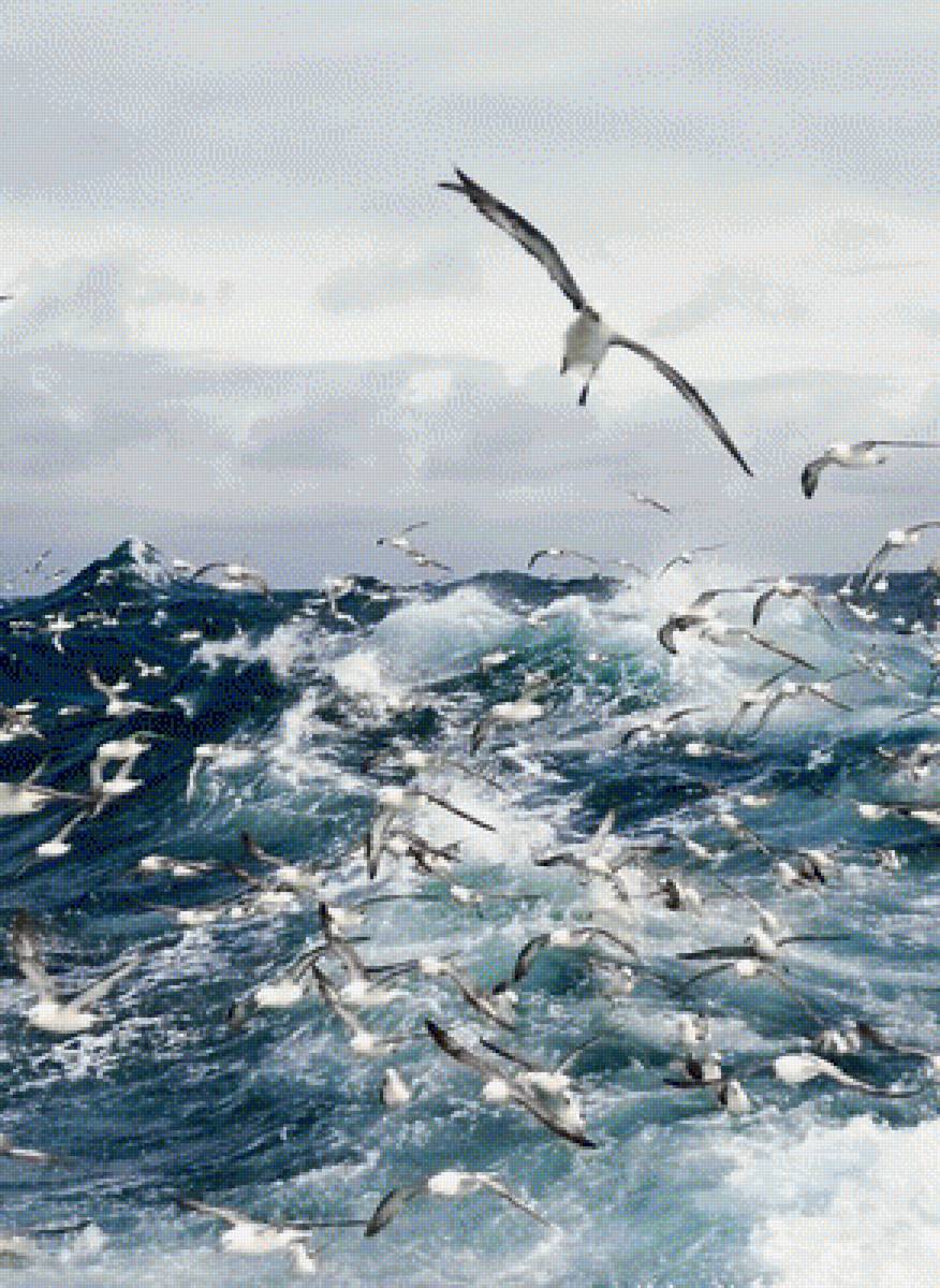 МОРСКОЕ ОЧАРОВАНИЕ - пейзаж, природа, морское очарование, вода - предпросмотр