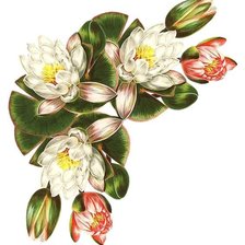 Схема вышивки «№1653218»