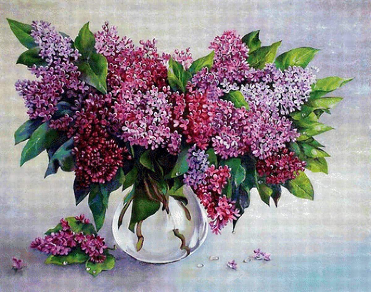 сиреневое чудо - лиловые цветы, весенние цветы, белые цветы, сирень, букет - предпросмотр