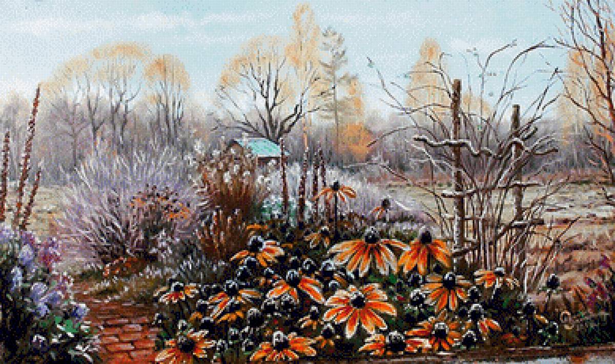 Поздние цветы - осень, цветы, иней - предпросмотр