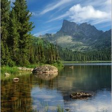 Схема вышивки «природа»