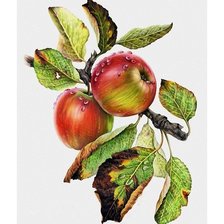 Схема вышивки «№1654171»