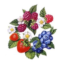 Схема вышивки «№1654390»