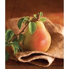 Схема вышивки «№1654438»