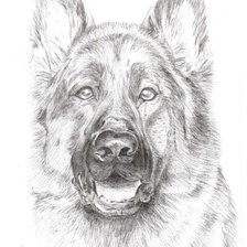 Схема вышивки «собака»