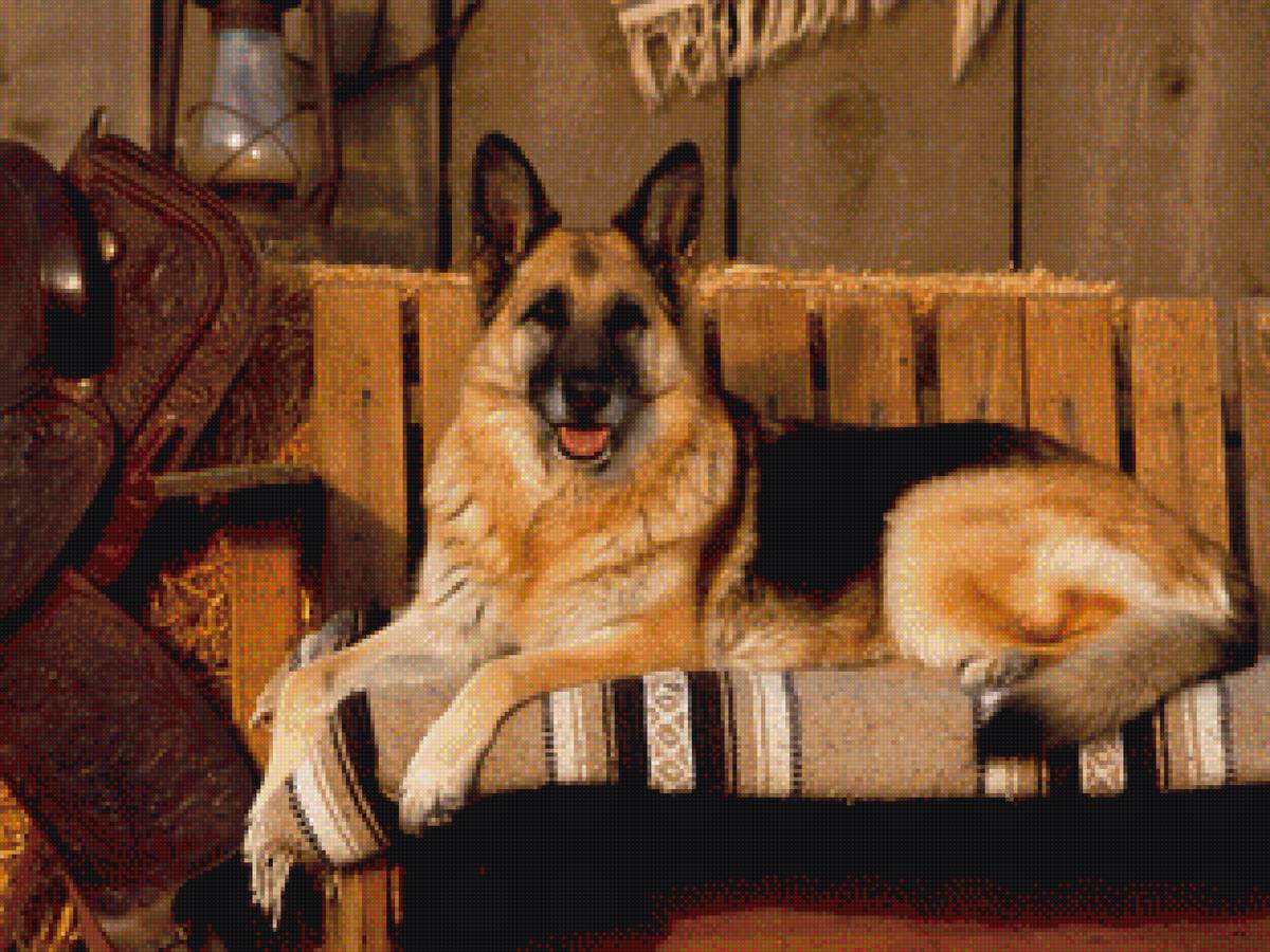 №1654603 - предпросмотр