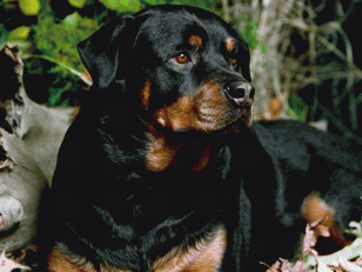 №1654604 - предпросмотр