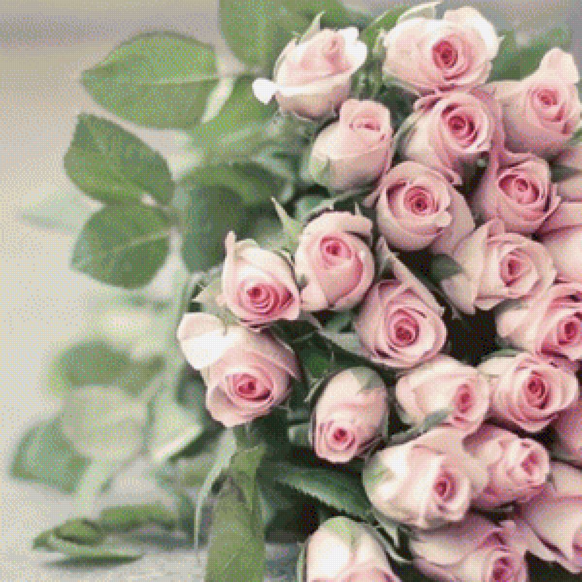 розы - цветы - предпросмотр