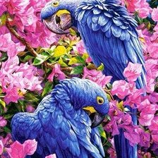 Схема вышивки «подушка-попугаи»