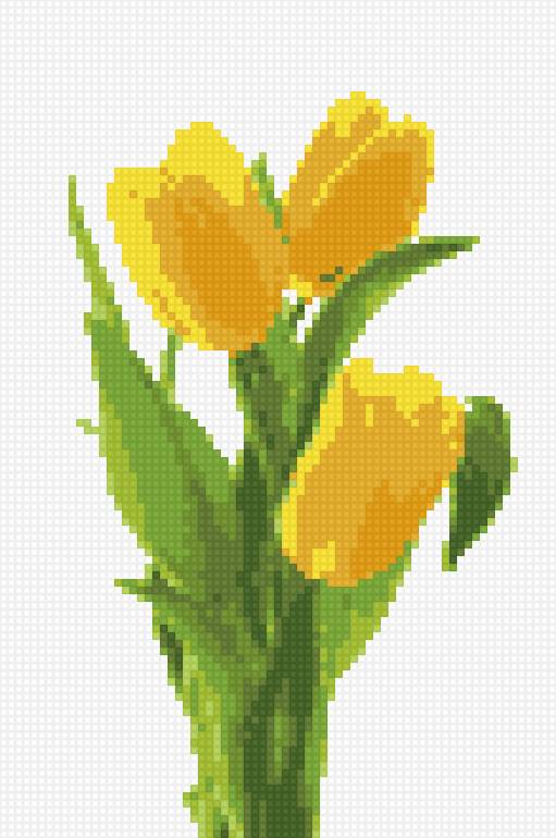 Желтые тюльпаны - предпросмотр