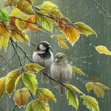 Схема вышивки «Воробьи под дождем»