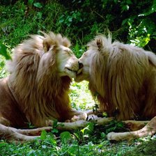 Схема вышивки «№1655198»