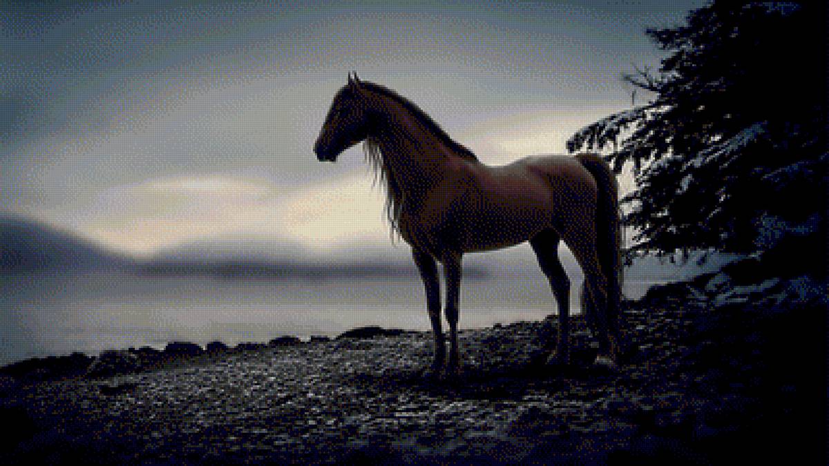 "Туманное утро" - лошадь, берег, туман - предпросмотр