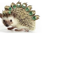 Схема вышивки «№1655608»