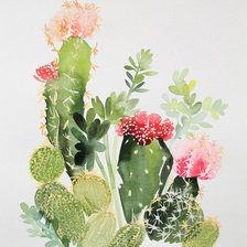 Схема вышивки «цветущие кактусы»