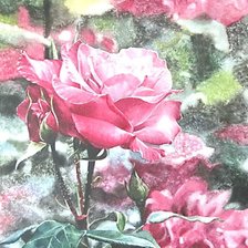 Схема вышивки «№1655892»