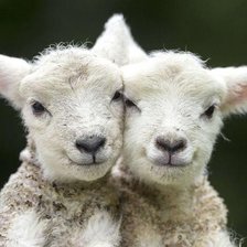 Схема вышивки «"Козлятушки-ребятушки"»