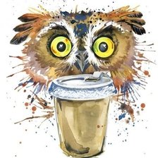 Схема вышивки «филин с кофе»