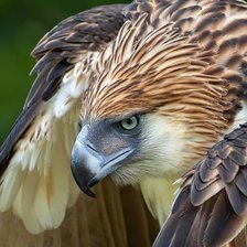 Схема вышивки «№1656190»