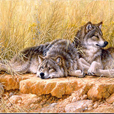 Схема вышивки «на отдыхе»