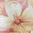 Предпросмотр схемы вышивки «№1656376»