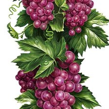 Схема вышивки «Виноград панелька»