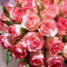 Схема вышивки «розы»