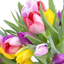 Схема вышивки «цветы»